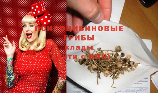 ECSTASY Верея