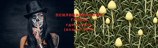 2c-b Верхний Тагил