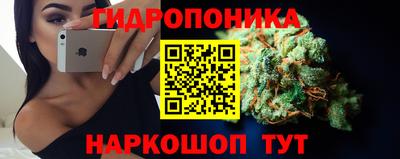 прущие грибы Бийск
