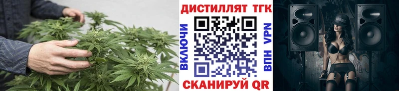 ТГК концентрат  где купить наркотик  mega tor  Вольск 