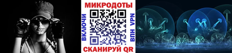 Псилоцибиновые грибы Psilocybine cubensis  даркнет какой сайт  OMG как зайти  Вольск  где купить  