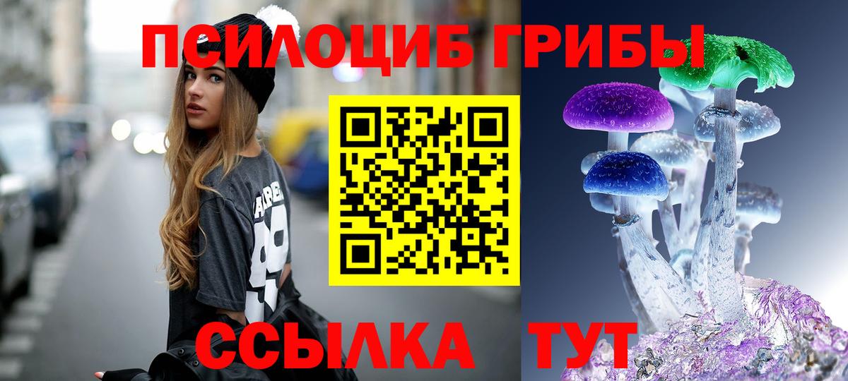 Вольск  Псилоцибиновые грибы Magic Shrooms  Вход с VPN 
